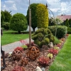 Podpora obelisk do roślin krzewów kwiatów roślin ogród podpórki średnica 35cm wysokość 140 cm solidna